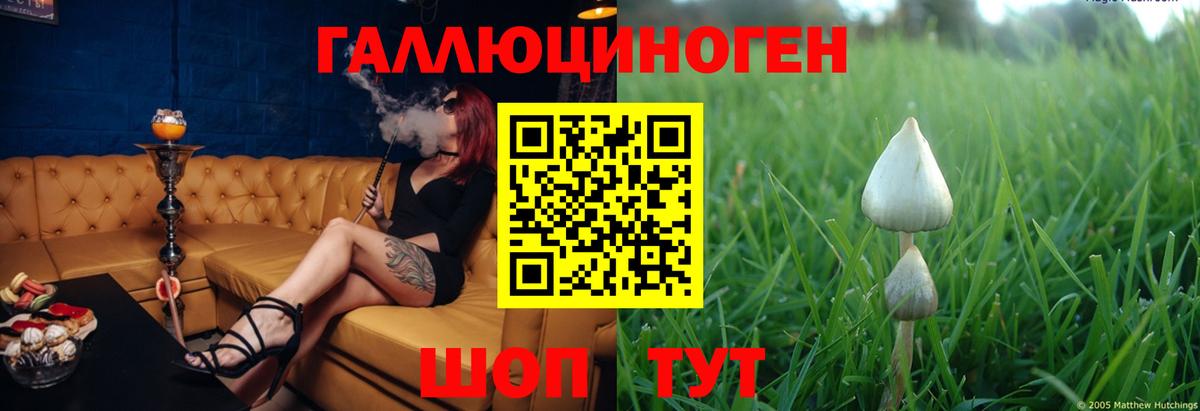 Псилоцибиновые грибы MAGIC MUSHROOMS  Вход с VPN  Киржач 